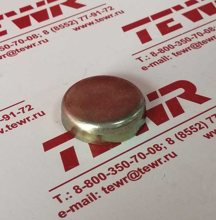 Заглушка головки блока большая 313992-П