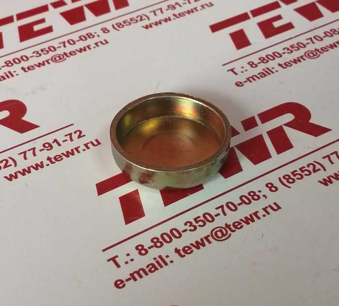 Заглушка головки блока большая 313992-П